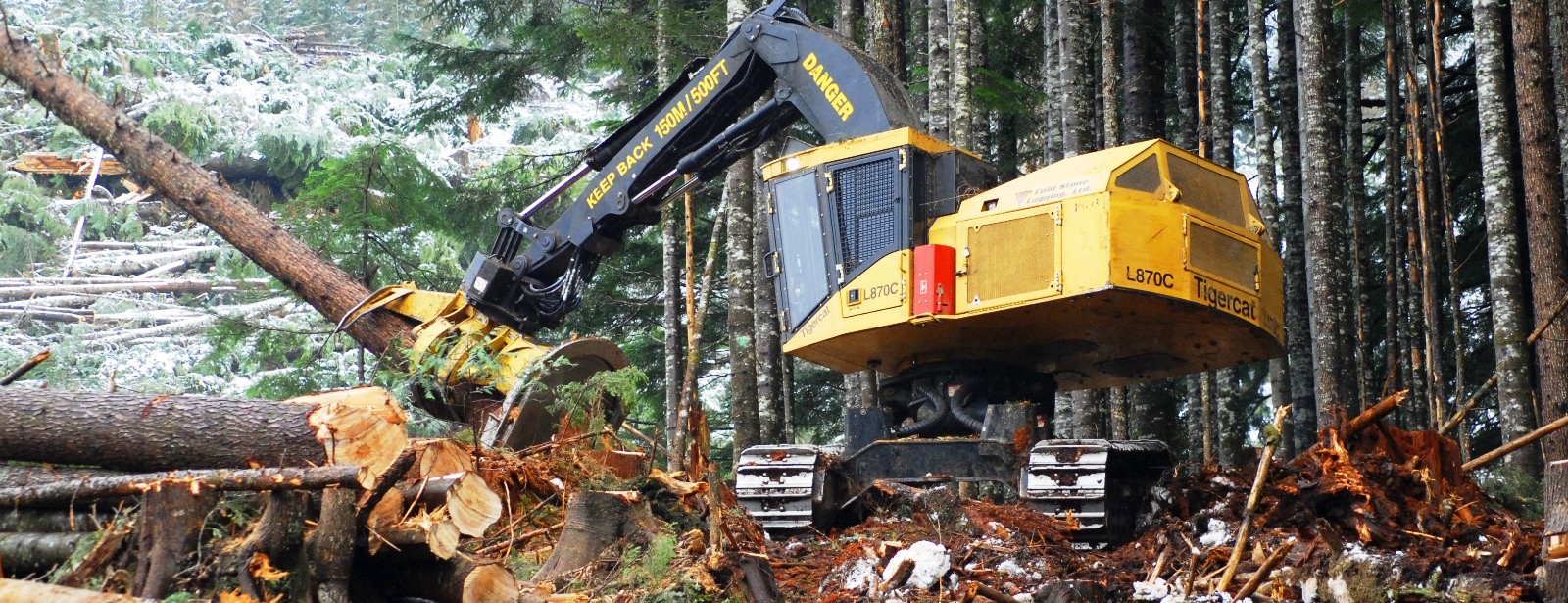 Forest machinery достижения